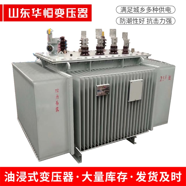 S13-10000/35安阳安阳安阳电力变压器厂家